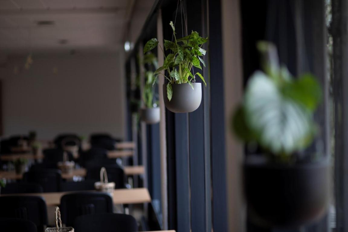 Danhostel Sønderborg City Eksteriør bilde