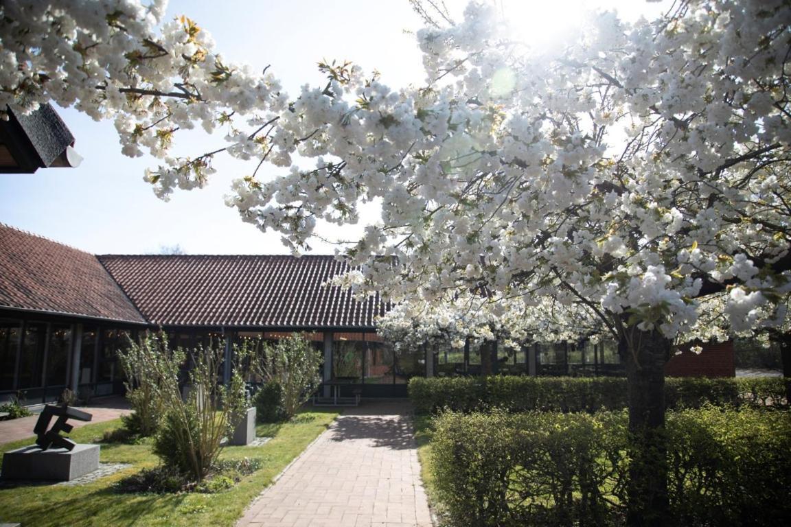 Danhostel Sønderborg City Eksteriør bilde